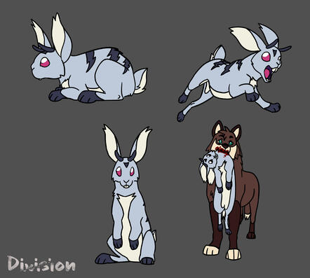 Rabbit Concept